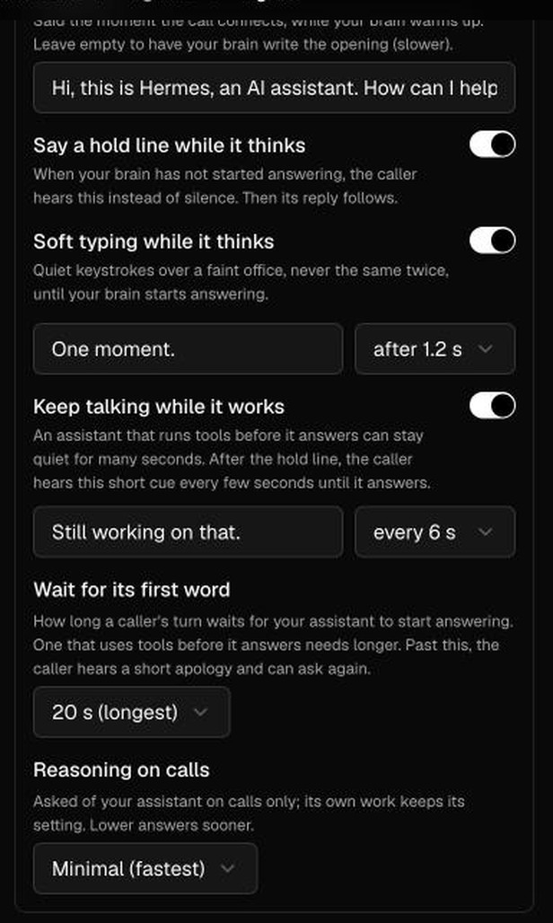 Model and voice settings with the controls for how long to wait for the first word and the still-working cue